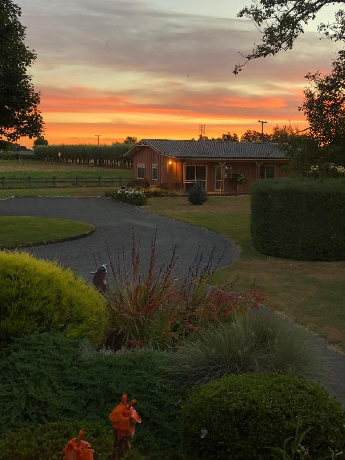 Walnut Lodge B&B Matamata Exteriör bild